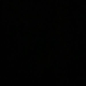 Meet your Posher, Leonardo